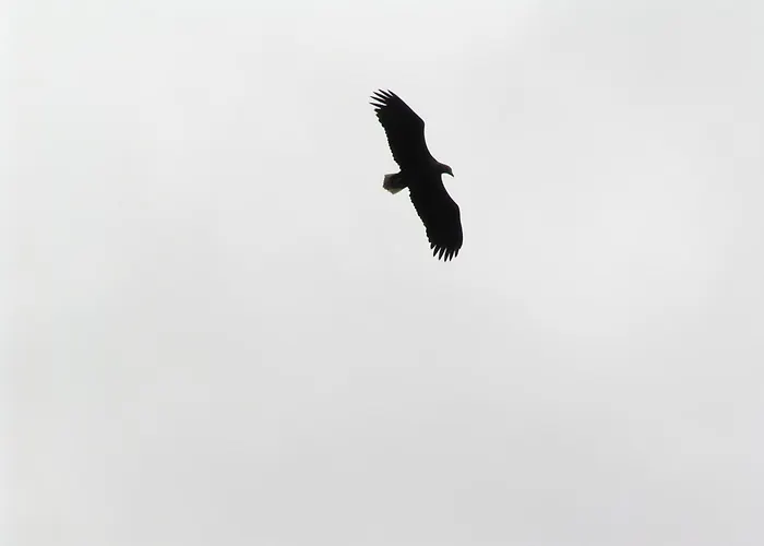 Nyaraló Mobile Im Mit Seezugang