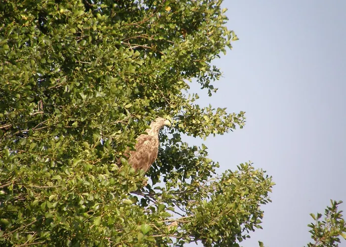 Mobile Im Mit Seezugang Nyaraló *